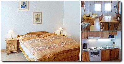 logements-castel-club-leysin-residence-apparthotels-leysin